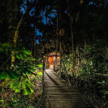 Daintree Wilderness Lodge Zewnętrze zdjęcie